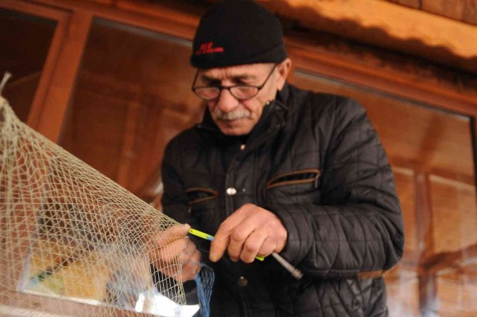 Balıkçılar Yunusların Ağlara Verdiği Yaraları Sarıyor