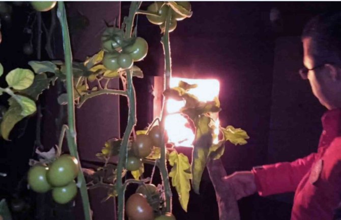 Tarım Ekipleri Zirai Don Nöbetindeki Üreticileri Ziyaret Etti