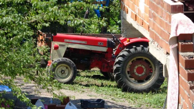 Film Gibi Cinayette Karar Verildi