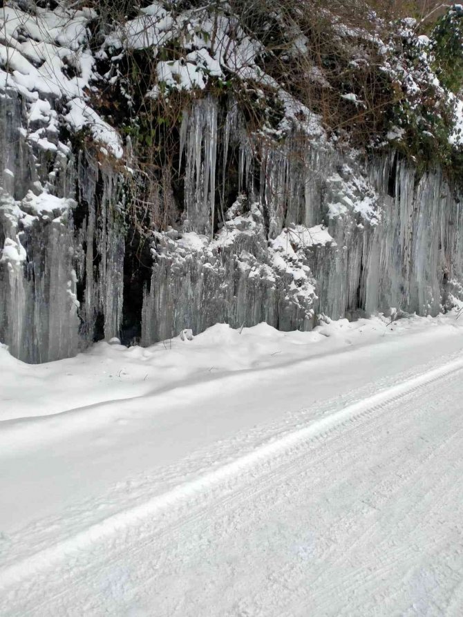 Ordu’da Donduran Görüntü