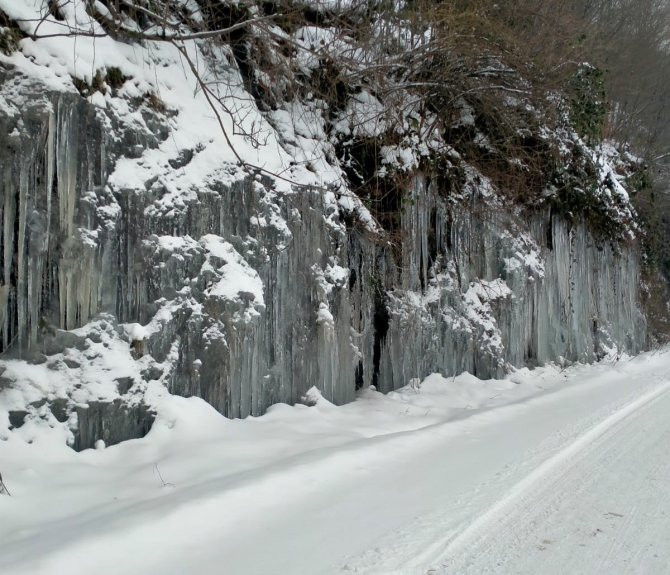 Ordu’da Donduran Görüntü