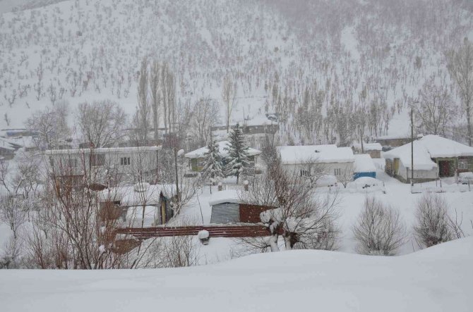 Şırnak’ta Ağaçlar Kırıldı, Araçlar Karda Kayboldu