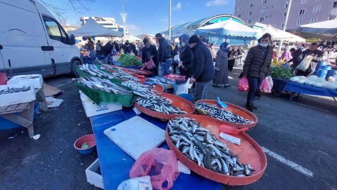 Tekirdağ’da Hamsi 25 Tl’ye Kadar Düştü