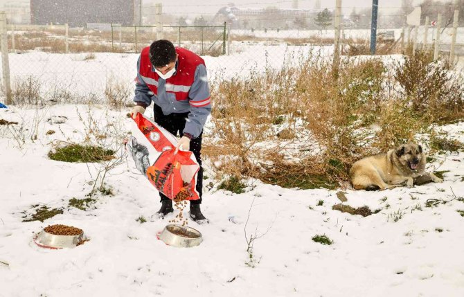 Tepebaşı’nda Can Dostlar Unutulmuyor