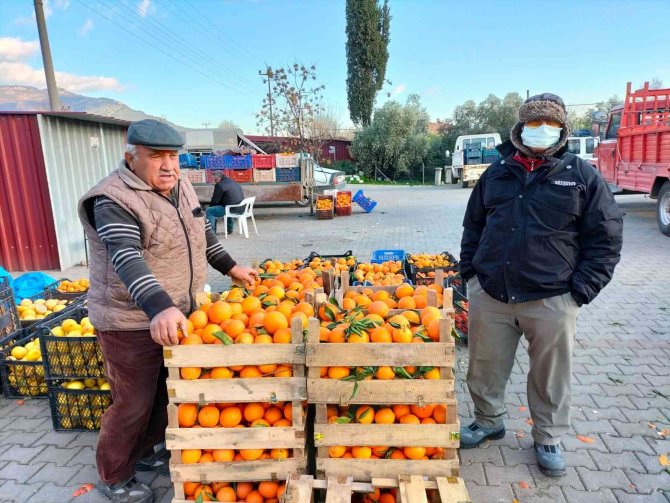 Narenciye Üretim Merkezinde Çiftçiler Soğuk Hava Deposu İstiyor