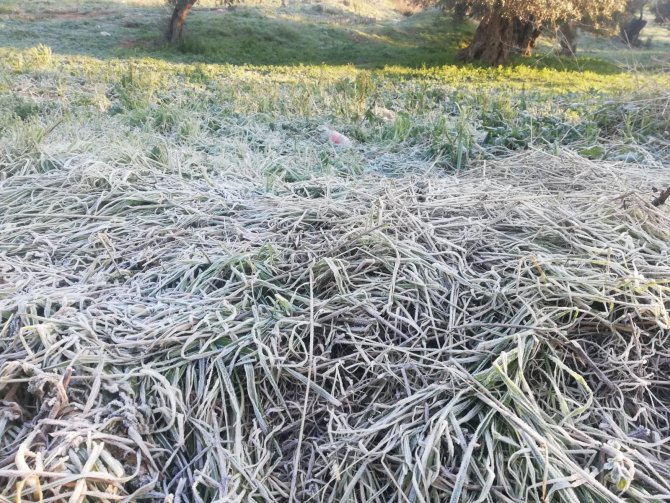 Sıcaklık Sıfırın Altına Düştü, Araçların Camları Buz Tuttu