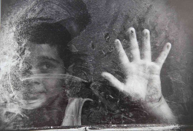 Ödüllü Fotoğraflar Nilüfer’de