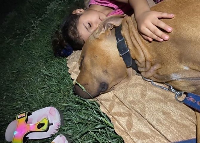 Asiye Haftaya Taburcu Oluyor