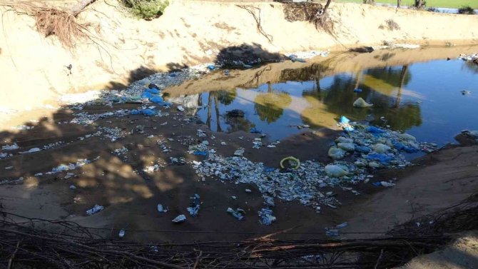 Antalya’da Kum Hırsızları Çevre Katliamına Sebep Oluyor