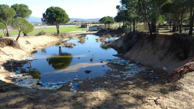 Antalya’da Kum Hırsızları Çevre Katliamına Sebep Oluyor