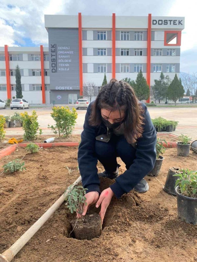 Dostek Öğrencileri Hobi Bahçesiyle Çevre Bilinci Kazanıyor