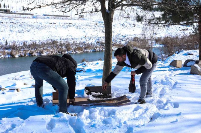 Diyarbakır’da ’Can Dostlara’ 1 Ton 700 Kilogram Mama Bırakıldı