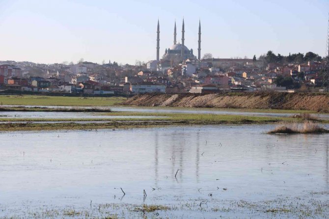 Edirne’de Suyla Kaplı Tarlalar Buz Tuttu