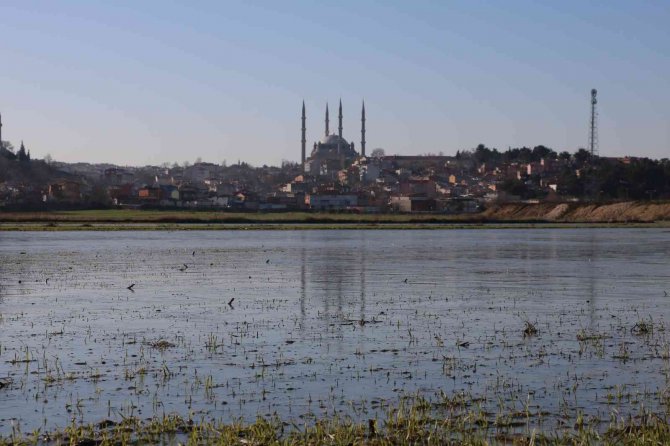 Edirne’de Suyla Kaplı Tarlalar Buz Tuttu