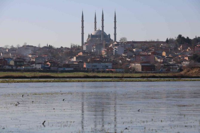 Edirne’de Suyla Kaplı Tarlalar Buz Tuttu