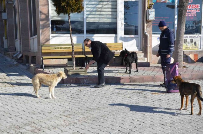 Zabıtadan Hayvanlara Temel Yiyecek