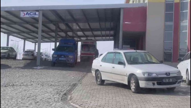 Karne Günü İki Kardeş Kızakla Kayarken Otomobilin Altında Kaldı