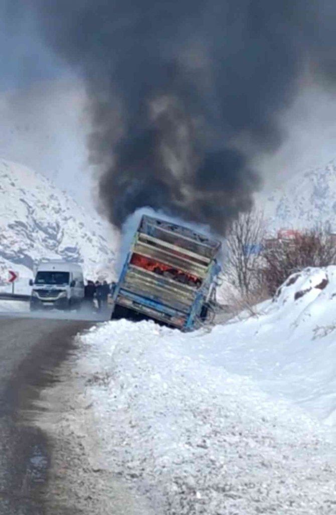Kamyon Alev Alev Yandı, Karayolu Trafiğe Kapandı
