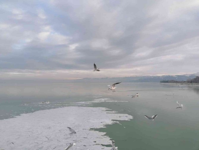 Eğirdir Gölü Kıyıları Buz Tuttu