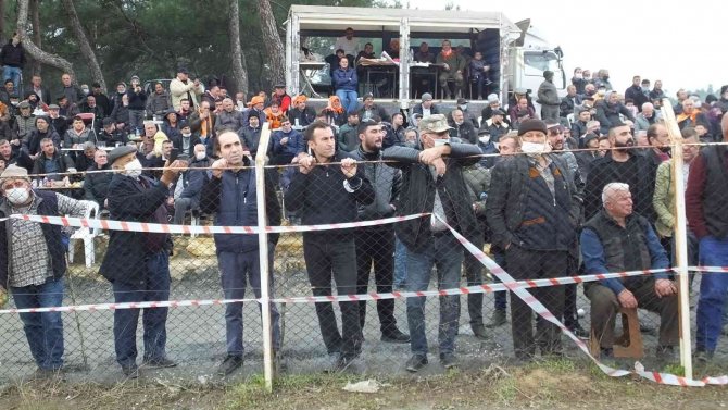 Burhaniye’de Hasan Şenliği Başlıyor