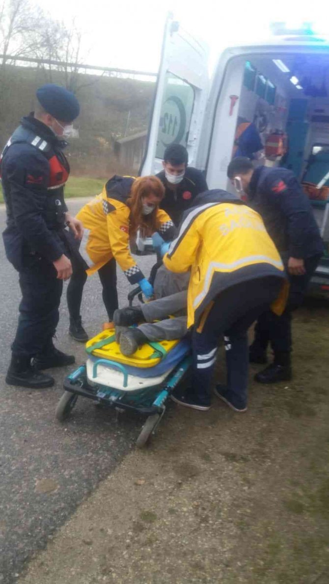 Yoldan Çıktı Ağaca Çarparak Durdu