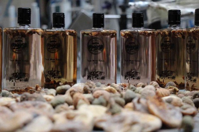 Mardinli Mühendisten İncir Kolonyası