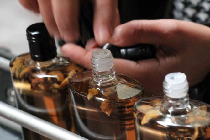 Mardinli Mühendisten İncir Kolonyası