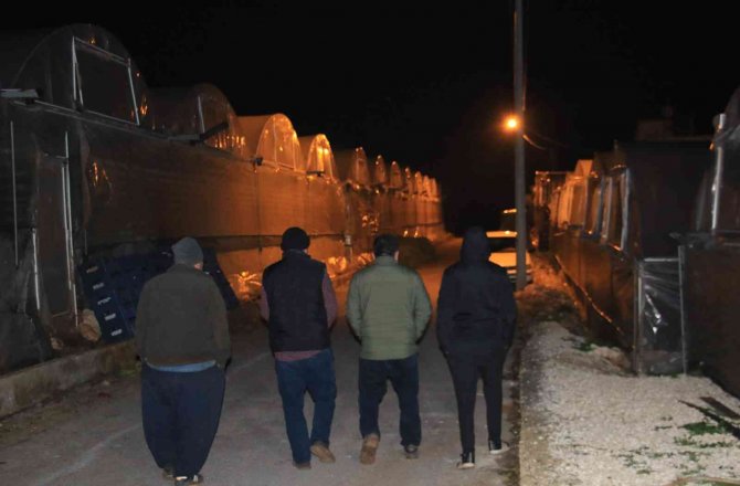 Mersin’de Bahçelerde Lastikler, Seralarda Sobalar Yakıldı, Zirai Don Nöbeti Başladı