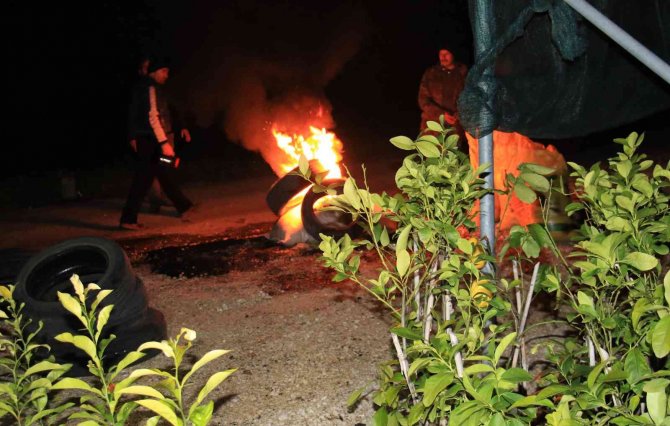 Mersin’de Bahçelerde Lastikler, Seralarda Sobalar Yakıldı, Zirai Don Nöbeti Başladı
