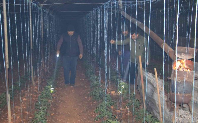 Mersin’de Bahçelerde Lastikler, Seralarda Sobalar Yakıldı, Zirai Don Nöbeti Başladı