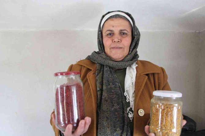1 Dönümden 1 Kilo Çıkıyor, Kilosunu 90 Bin Liraya Satıyor