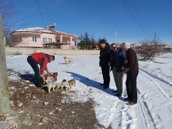 Özel İ̇dare Ekipleri Sokak Hayvanlarına Mama Bıraktı