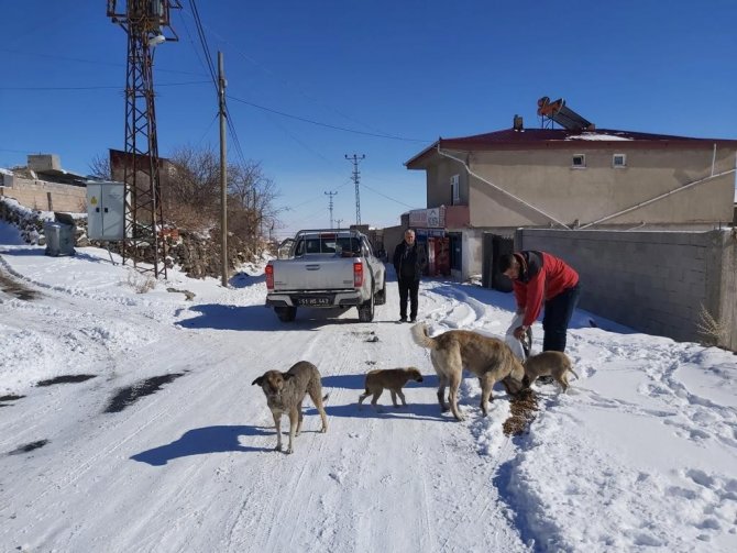 Özel İ̇dare Ekipleri Sokak Hayvanlarına Mama Bıraktı