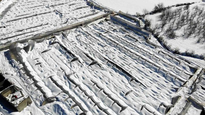Kar, Gül Serasını Yerle Bir Etti, 2,5 Milyon Zarar Meydana Geldi