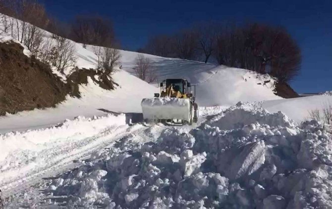 Siirt’te Kar Nedeniyle 73 Köy Yoluna Ulaşım Sağlanamıyor