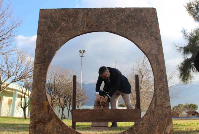 Manisa’da Barınaktaki Yasaklı Irk Köpeklerin Sayısı 240’a Ulaştı