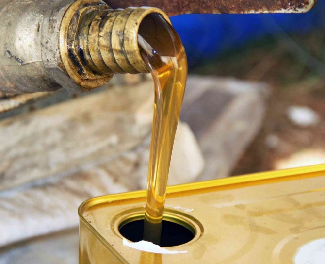 Tab Başkanı Şahin; “Bal Ormanı Alanları Genişletilmeli”