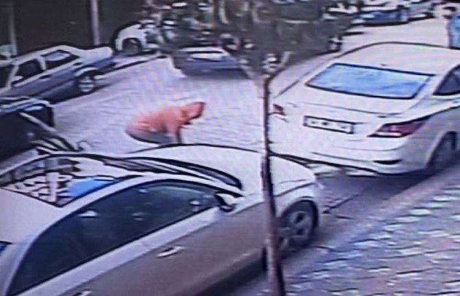 Otomobille Kamyonun Arasına Sıkışan Parmakları Koptu