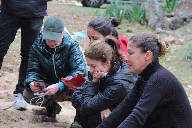 Hayvanseverler İş Makinesiyle Gömülen Kedi Ve Köpeklere Tepki Gösterdi, İşlemin Yasal Olduğu Ortaya Çıktı