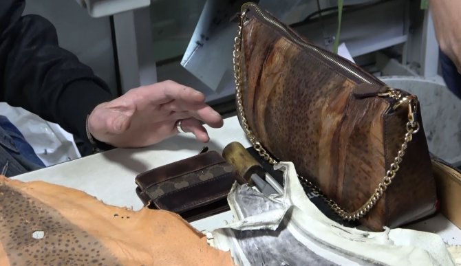 Balon Balığı Kadın Çantası Oldu, Cüzdan, Cep Telefonu Ve Bilgisayar Kılıfı Yolda