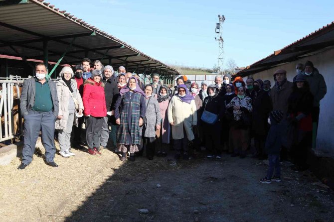 Atakum’da Kırsal Kalkınmada “Jersey” Hamlesi