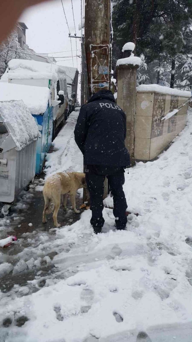 Sokak Hayvanlarına Emniyet Güçleri Sahip Çıktı