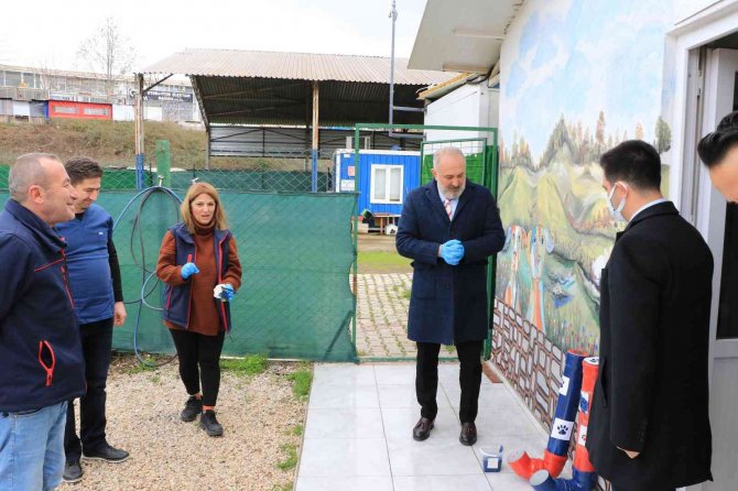 Çiftlikköy Belediyesi’nden Sokak Hayvanları İçin Su Borusunda Mama Kabı