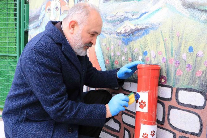 Çiftlikköy Belediyesi’nden Sokak Hayvanları İçin Su Borusunda Mama Kabı