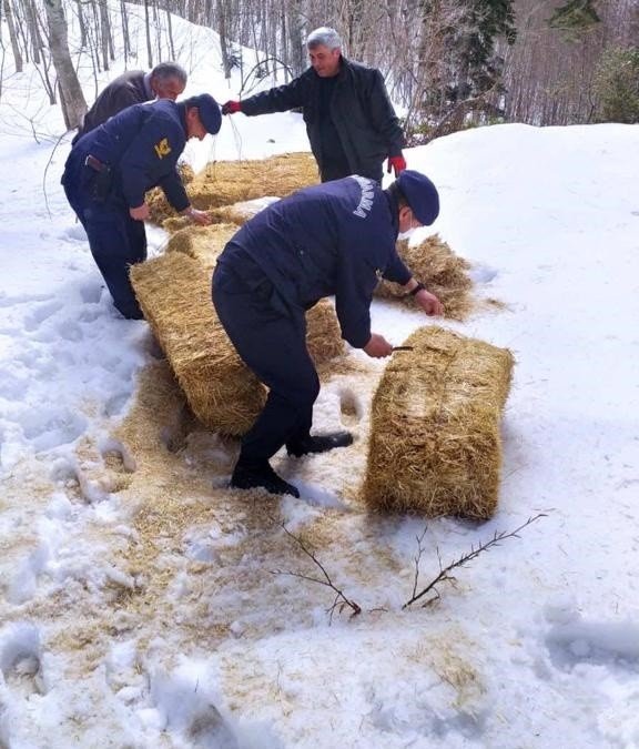 Yaban Hayvanlarının Yemleri Jandarmadan