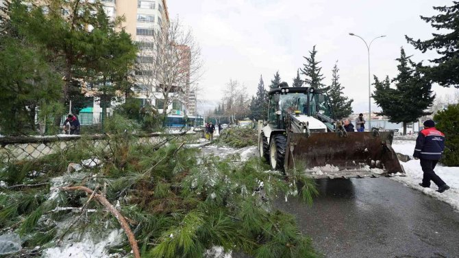 Kar Savurdu, Ekipler Temizledi
