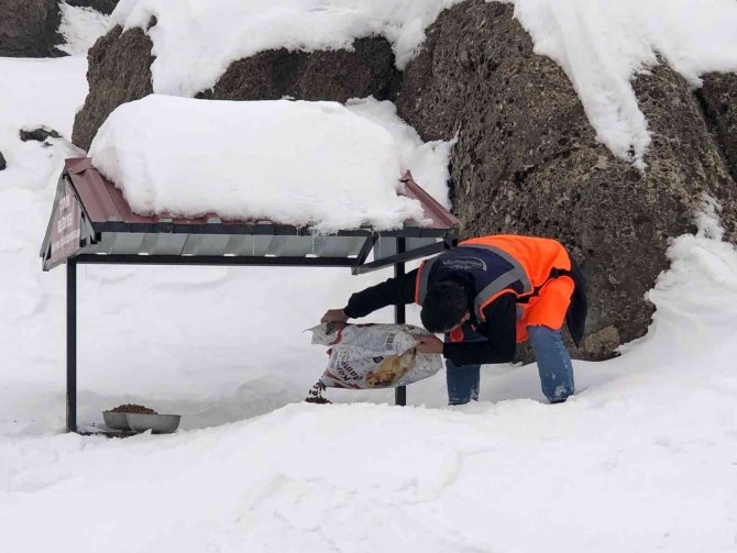 Afad Gönüllüleri Karda Mahsur Kalan Vatandaşlara Destek Çıkarak, Sokak Hayvanlarına Yem Bıraktı