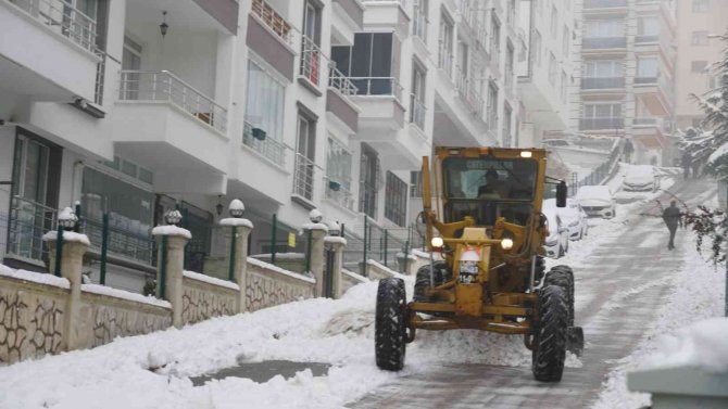 Hem Kar Kürendi Hem De Sokak Hayvanlarına Yiyecek Bırakıldı