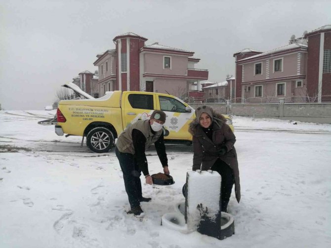Vali Şıldak’tan Sokak Hayvanları İ̇çin Çağrı