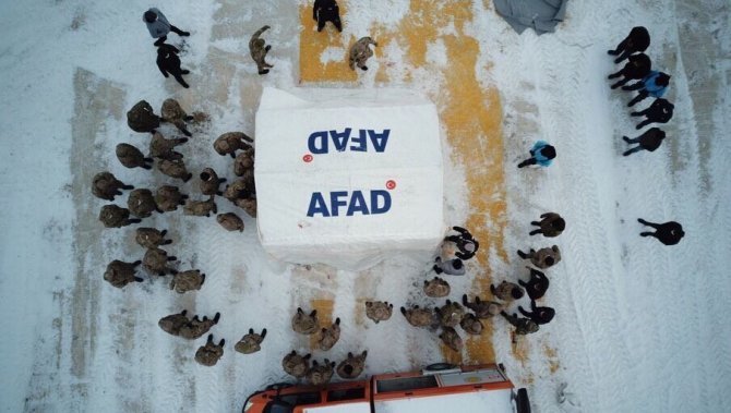 Afad’dan Jandarma Ve Belediye Personeline Yerel Destek Eğitimi